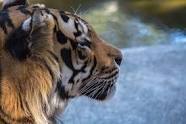 NatGeo photographer inspires scientists to become storytellers NatGeo photographer inspires scientists to become storytellers